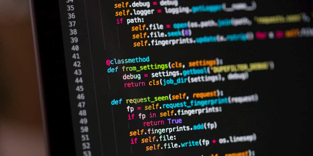 custom website development code